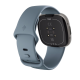 Смарт-годинник Fitbit Versa 4 Waterfall Blue / Platinum (FB523SRAG) Купити в Україні