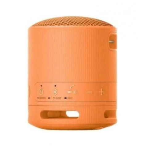 Акустика Sony SRS-XB100 Orange (SRSXB100D) Купити в Україні