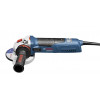 Болгарка (кутова шліфувальна) Bosch GWS 19-125 CIE Professional (060179P002) Купити в Україні