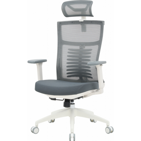 Крісло офісне OfficePro Balance OC550-W-DG-DG Купити в Україні