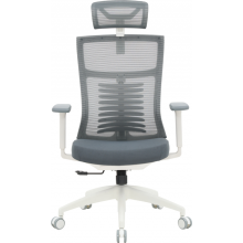 Крісло офісне OfficePro Balance OC550-W-DG-DG