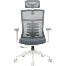 Крісло офісне OfficePro Balance OC550-W-DG-DG