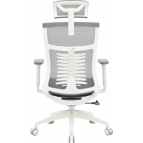 Крісло офісне OfficePro Balance OC550-W-DG-DG Купити в Україні