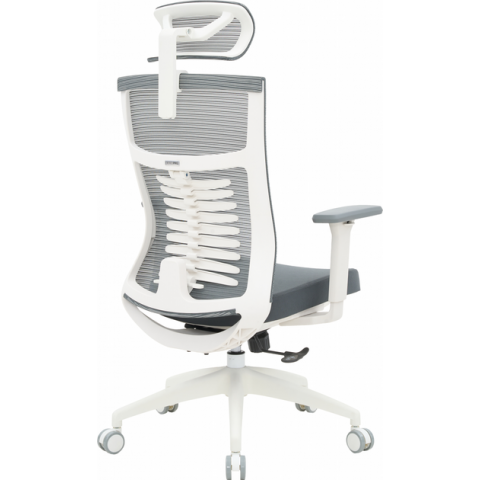 Крісло офісне OfficePro Balance OC550-W-DG-DG Купити в Україні