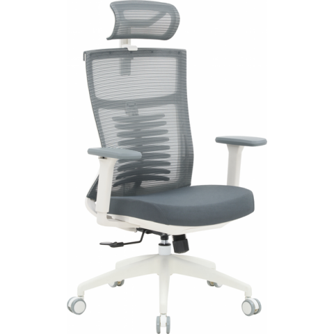 Крісло офісне OfficePro Balance OC550-W-DG-DG Купити в Україні