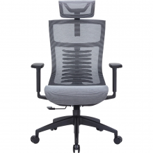 Крісло офісне Officepro Balance OC620-B-DG-DG