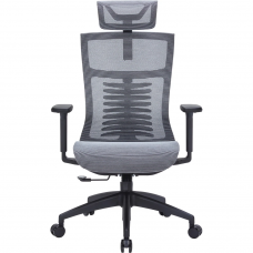 Крісло офісне Officepro Balance OC620-B-DG-DG