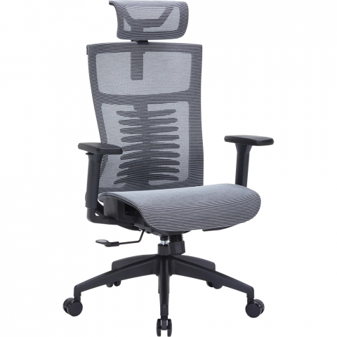 Крісло офісне Officepro Balance OC620-B-DG-DG Купити в Україні