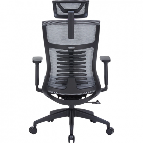 Крісло офісне Officepro Balance OC620-B-DG-DG Купити в Україні