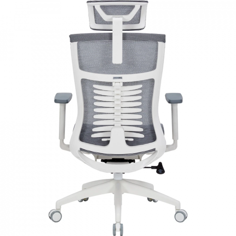 Крісло офісне Officepro Balance OC620-W-DG-DG Купити в Україні
