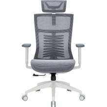 Крісло офісне Officepro Balance OC620-W-DG-DG