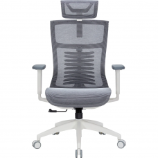 Крісло офісне Officepro Balance OC620-W-DG-DG