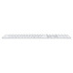 Клавіатура Apple Magic Keyboard with Touch ID USB-C (MXK73F/A) AZERTY Купити в Україні
