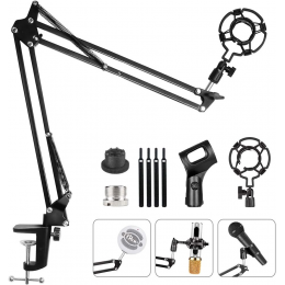 Мікрофонна стійка HAUEA Professional Recording Equipment (ZP152846KT9IN5592)