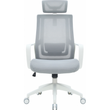 Крісло офісне OfficePro Harmony OC310-W-LG-LG