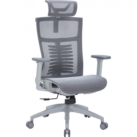 Крісло офісне Officepro Balance OC620-G-DG-DG Купити в Україні