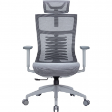 Крісло офісне Officepro Balance OC620-G-DG-DG