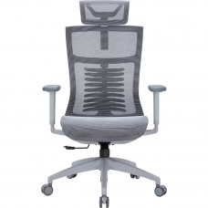 Крісло офісне Officepro Balance OC620-G-DG-DG