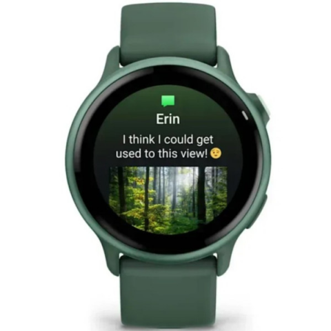 Смарт-годинник Garmin Vivoactive 6 Metallic Jasper Green with Jasper Green Band (010-02985-02/42) Купити в Україні