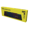 Клавіатура механічна HATOR Icefall Mecha wireless Rainbow (HTK204UA) black Купити в Україні