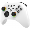 Бездротовий геймпад GamePro GPX13W