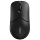 Миша RAPOO 1510 wireless оптична, чорна Купити в Україні