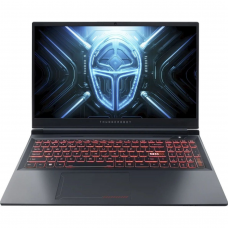 Ноутбук ThundeRobot R16 (1NLYB000014) Gray