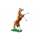 Блоковий конструктор LEGO Creator Beautiful Horse 3 In 1 (31166) Купити в Україні