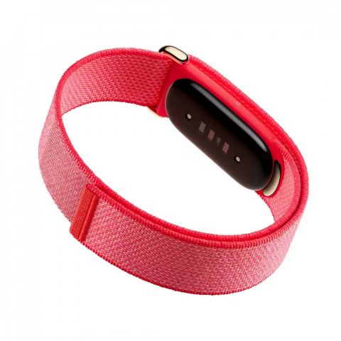 Фітнес-браслет Google Fitbit Air Berry (GA11016) Купити в Україні