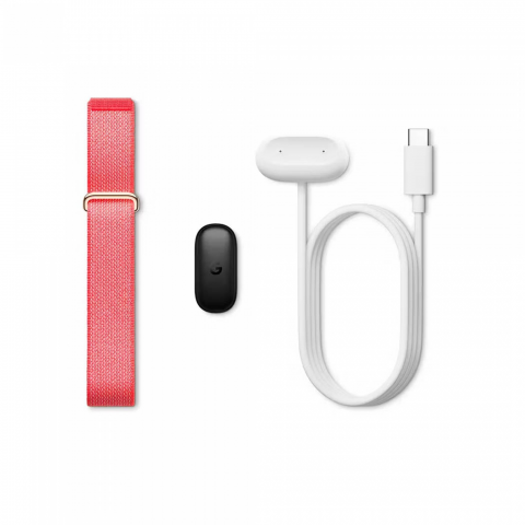 Фітнес-браслет Google Fitbit Air Berry (GA11016) Купити в Україні