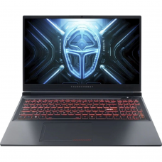 Ноутбук ThundeRobot R16 (1NLYB000015 Custom 32GB RAM / 1TB SSD) Gray