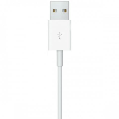 Бездротовий зарядний пристрій Apple Watch Magnetic Fast Charger to USB-C 1m White (MT0H3) (EU) Купити в Україні