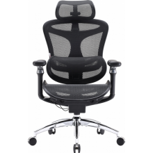 Крісло офісне Sihoo DORO C300 Pro Mesh Black (DORO-C300-PRO-M101)