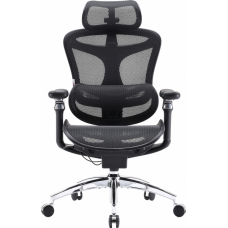 Крісло офісне Sihoo DORO C300 Pro Mesh Black (DORO-C300-PRO-M101)