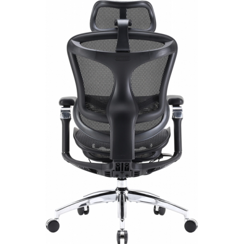 Крісло офісне Sihoo DORO C300 Pro Mesh Black (DORO-C300-PRO-M101) Купити в Україні