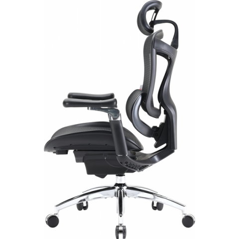 Крісло офісне Sihoo DORO C300 Pro Mesh Black (DORO-C300-PRO-M101) Купити в Україні