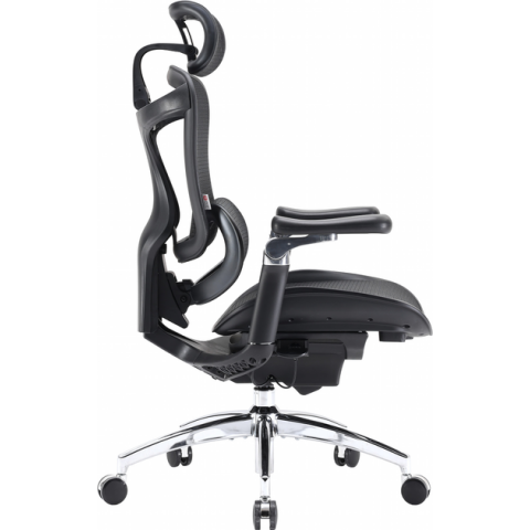 Крісло офісне Sihoo DORO C300 Pro Mesh Black (DORO-C300-PRO-M101) Купити в Україні