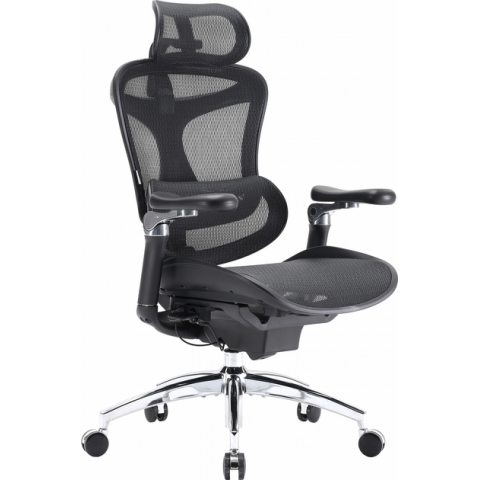 Крісло офісне Sihoo DORO C300 Pro Mesh Black (DORO-C300-PRO-M101) Купити в Україні