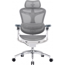 Крісло офісне Sihoo DORO C300 Pro Mesh White (DORO-C300-PRO-M102)