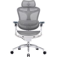 Крісло офісне Sihoo DORO C300 Pro Mesh White (DORO-C300-PRO-M102)