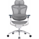 Крісло офісне Sihoo DORO C300 Pro Mesh White (DORO-C300-PRO-M102) Купити в Україні