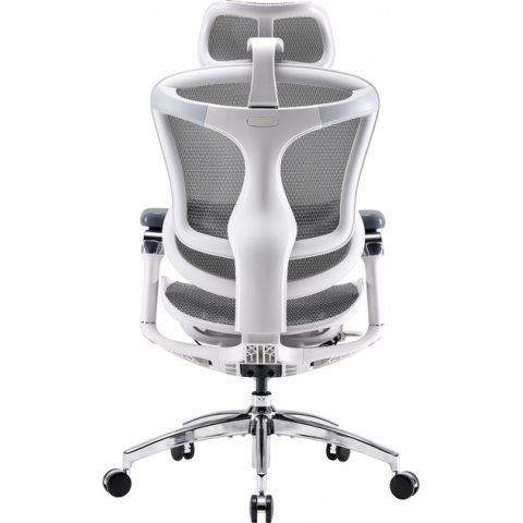 Крісло офісне Sihoo DORO C300 Pro Mesh White (DORO-C300-PRO-M102) Купити в Україні