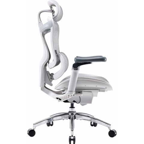 Крісло офісне Sihoo DORO C300 Pro Mesh White (DORO-C300-PRO-M102) Купити в Україні