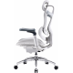Крісло офісне Sihoo DORO C300 Pro Mesh White (DORO-C300-PRO-M102) Купити в Україні