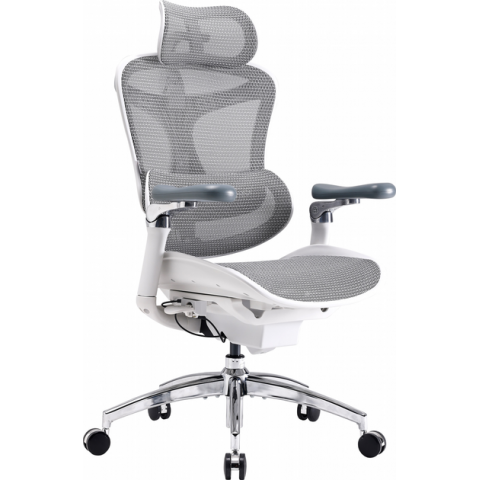Крісло офісне Sihoo DORO C300 Pro Mesh White (DORO-C300-PRO-M102) Купити в Україні