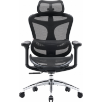 Крісло офісне Sihoo DORO C300L Mesh Black (DORO-C300L-A3-101)