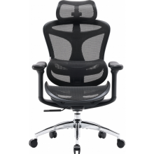 Крісло офісне Sihoo DORO C300L Mesh Black (DORO-C300L-A3-101)