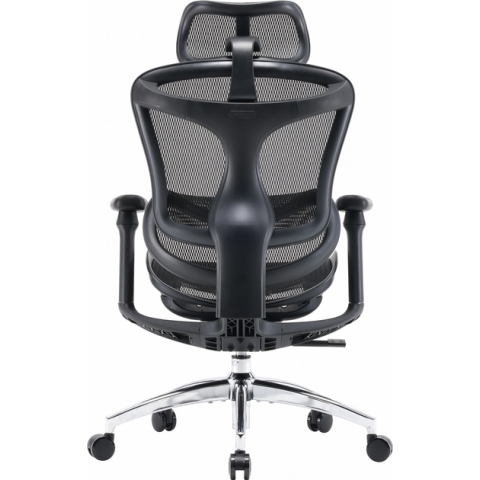 Крісло офісне Sihoo DORO C300L Mesh Black (DORO-C300L-A3-101) Купити в Україні