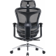Крісло офісне Sihoo DORO C300L Mesh Black (DORO-C300L-A3-101) Купити в Україні