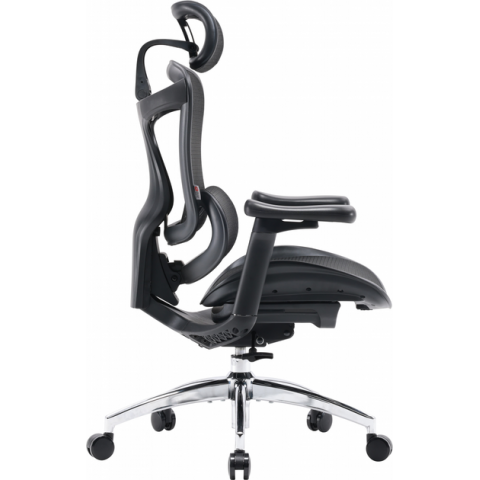Крісло офісне Sihoo DORO C300L Mesh Black (DORO-C300L-A3-101) Купити в Україні